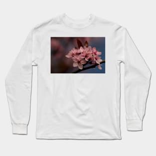Cherry Blossom in springtime Long Sleeve T-Shirt